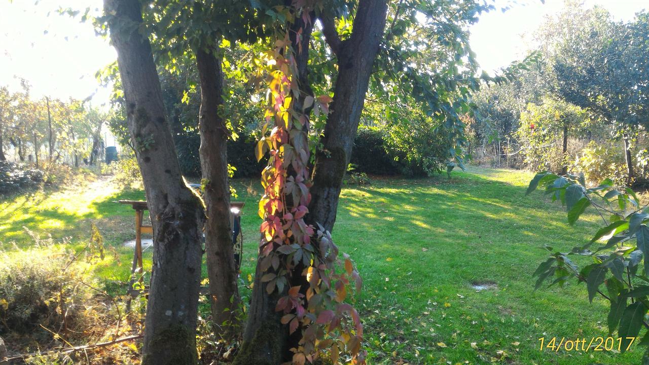 L'Ape In Corte Casa Di Campagna, Via Francigena Stanze E Colazione Vaccarizza Dış mekan fotoğraf