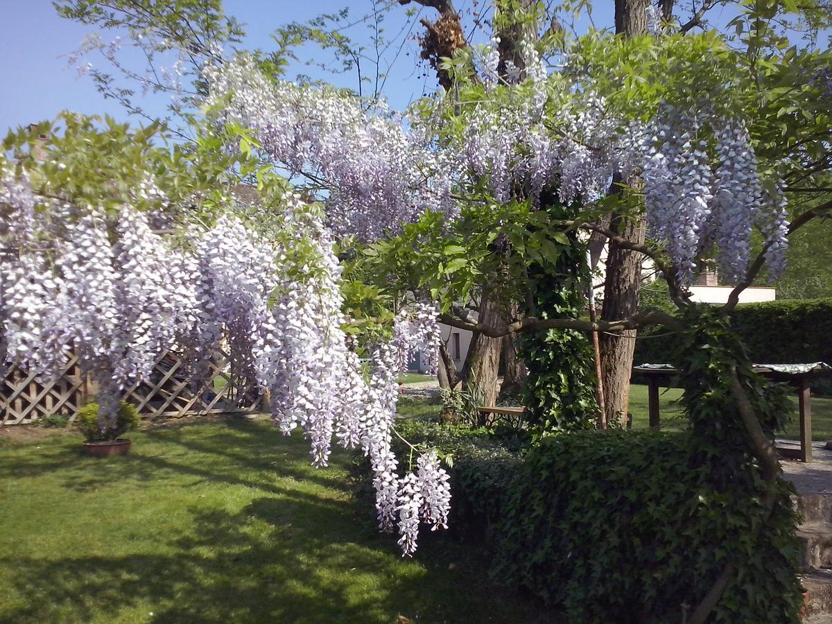 L'Ape In Corte Casa Di Campagna, Via Francigena Stanze E Colazione Vaccarizza Dış mekan fotoğraf